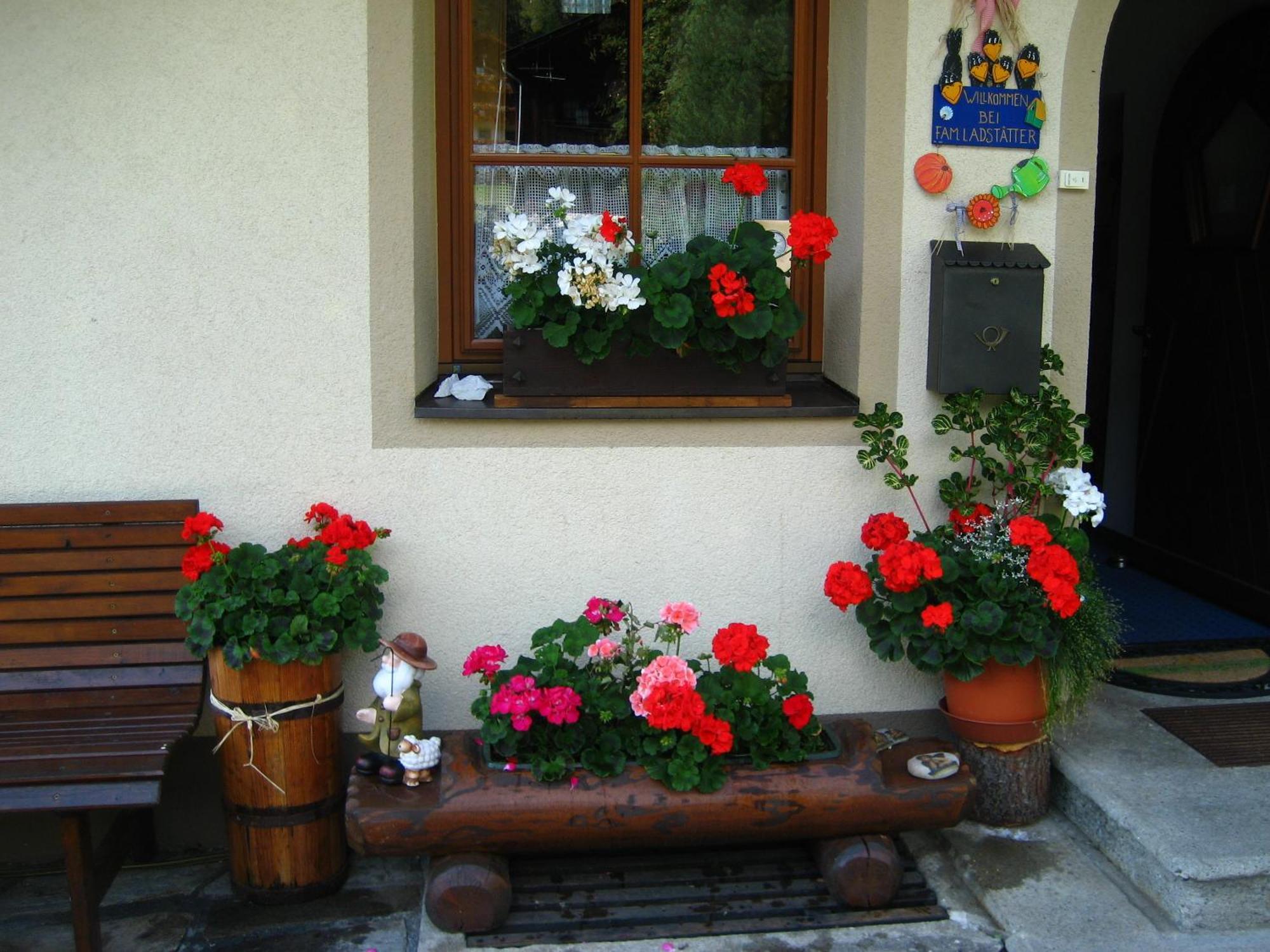 Haus Arnika Apartment Sankt Jakob in Defereggen Luaran gambar